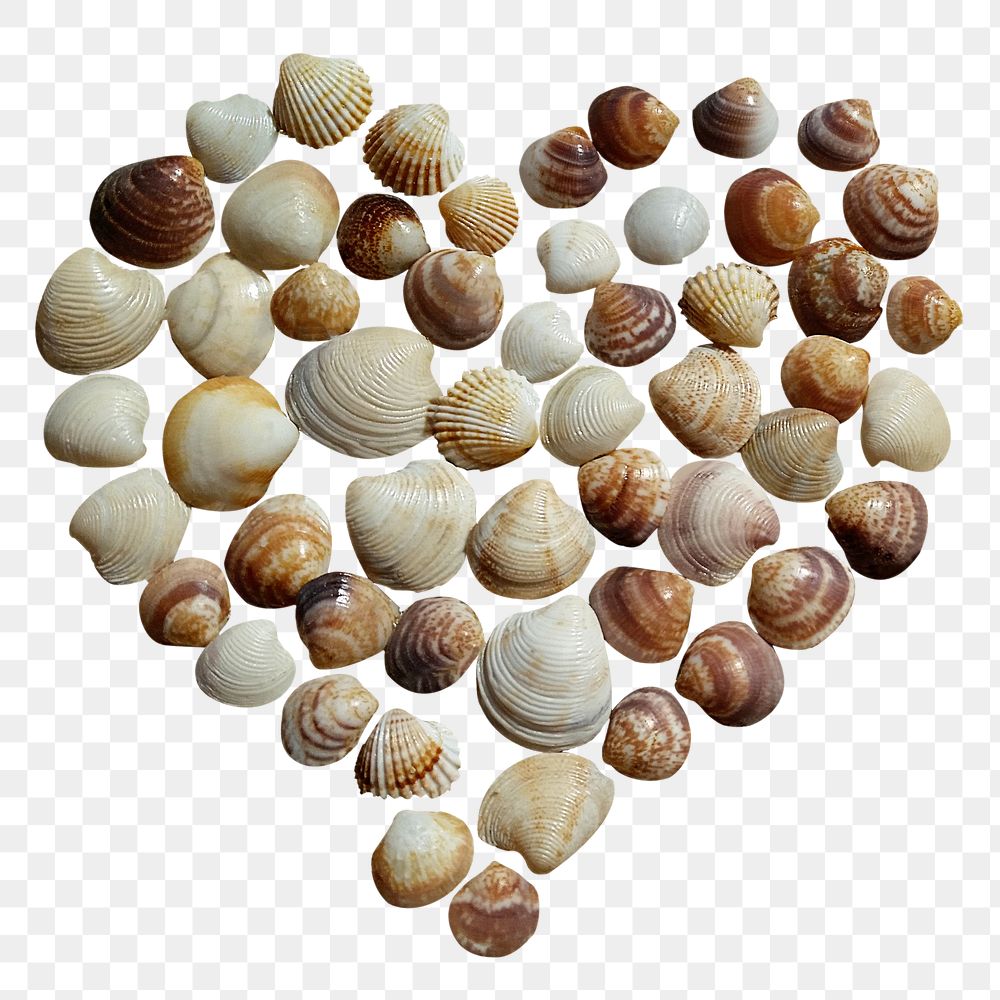 Heart of shells png sticker, transparent background