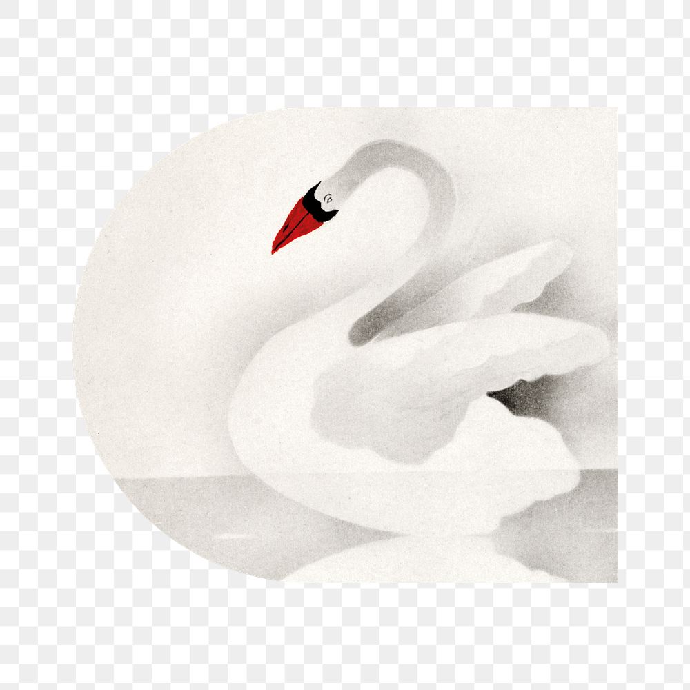 Swan illustration png sticker, transparent background