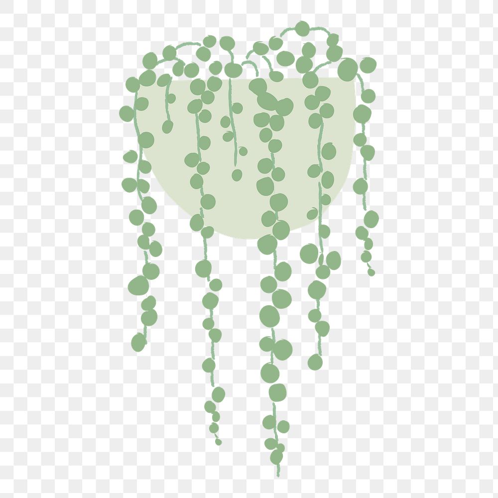 String of pearl png doodle houseplant sticker, transparent background