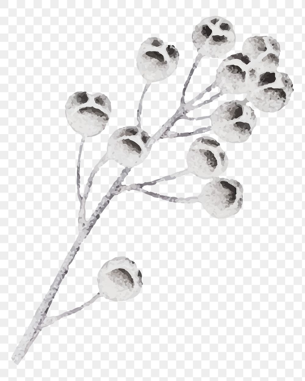 Fruit branches png sticker, white illustration, transparent background