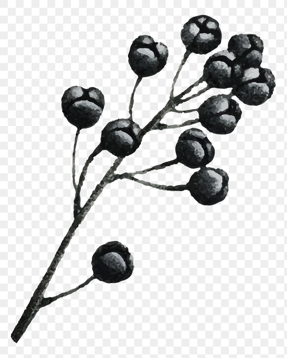 Fruit branches png sticker, black illustration, transparent background
