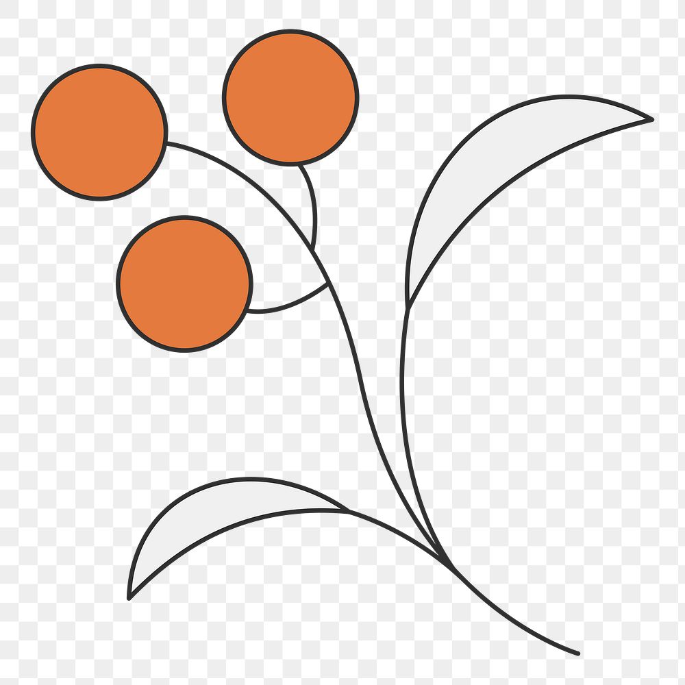 Minimal plant png sticker, line illustration, transparent background