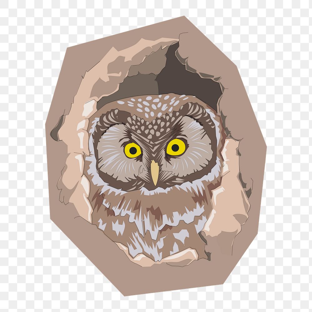 Owl png illustration, transparent background. Free public domain CC0 image.