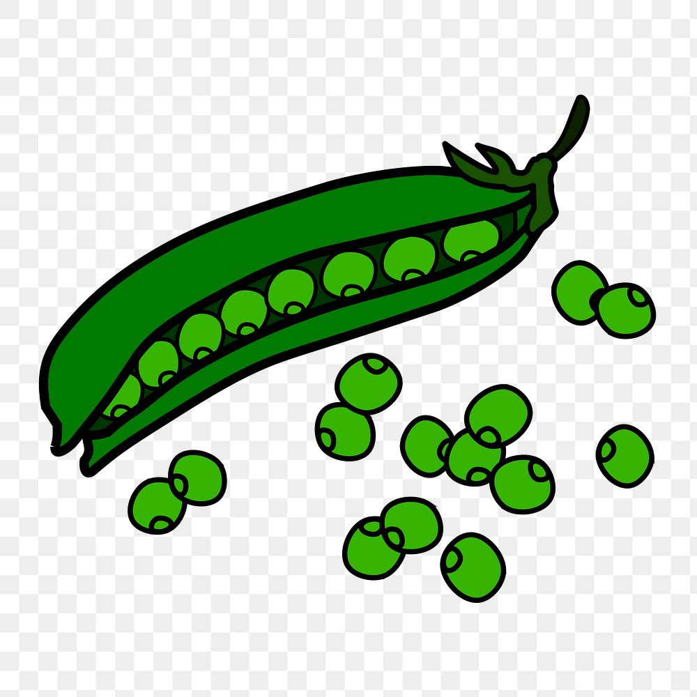 Green pea png illustration, transparent background. Free public domain CC0 image.