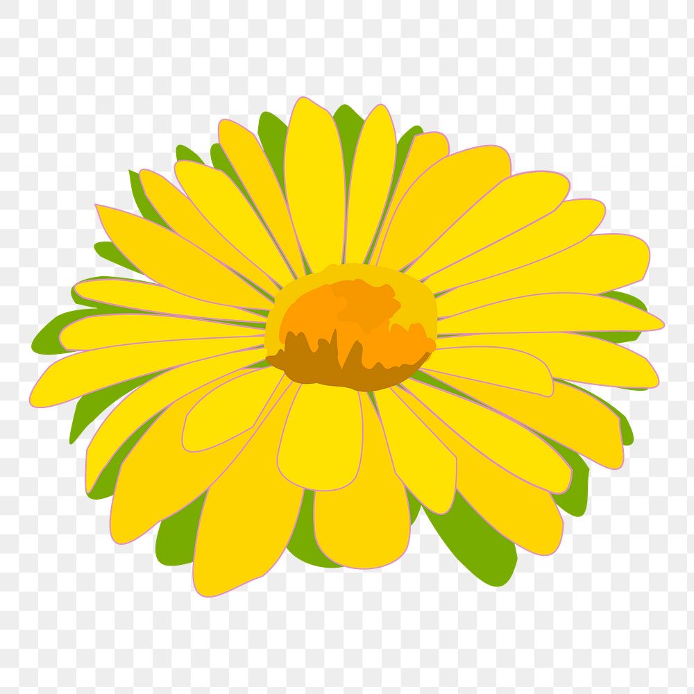 Yellow flower png illustration, transparent background. Free public domain CC0 image.