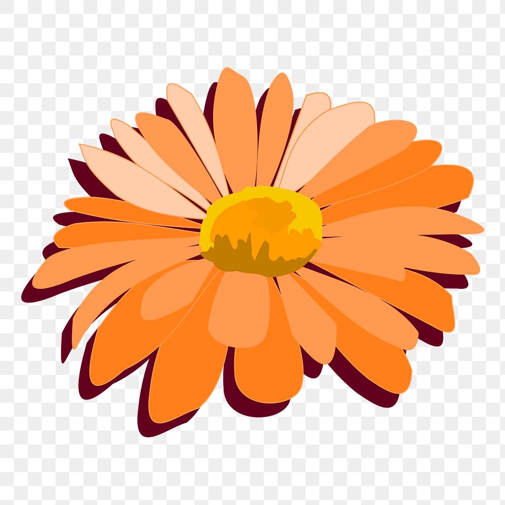 Orange flower png illustration, transparent background. Free public domain CC0 image.