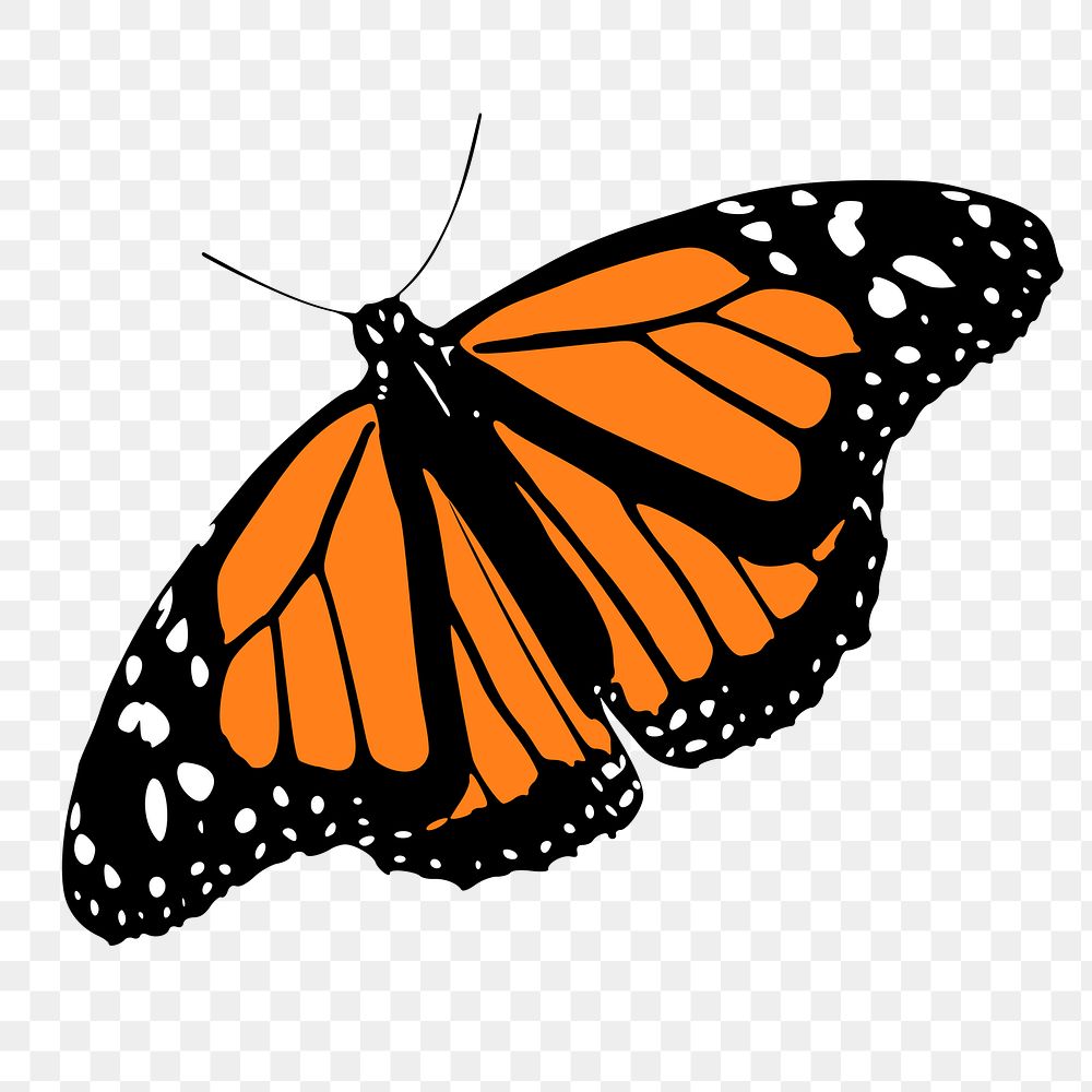 Butterfly png illustration, transparent background. Free public domain CC0 image.