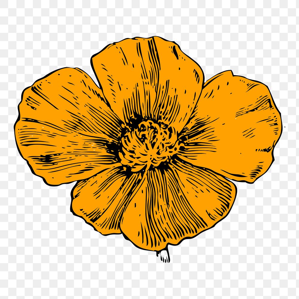 Flower png illustration, transparent background. Free public domain CC0 image.