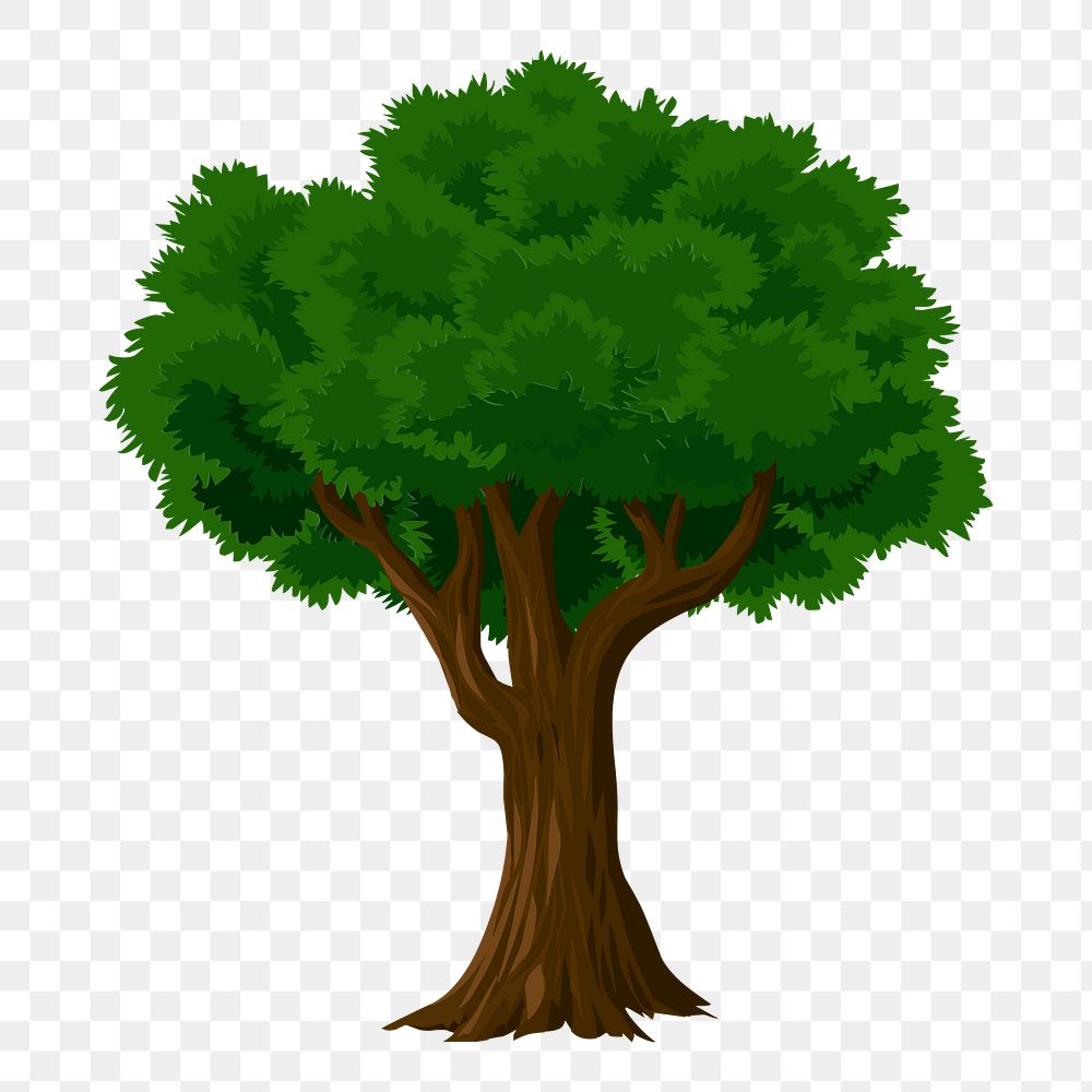 Tree png illustration, transparent background. Free public domain CC0 image.