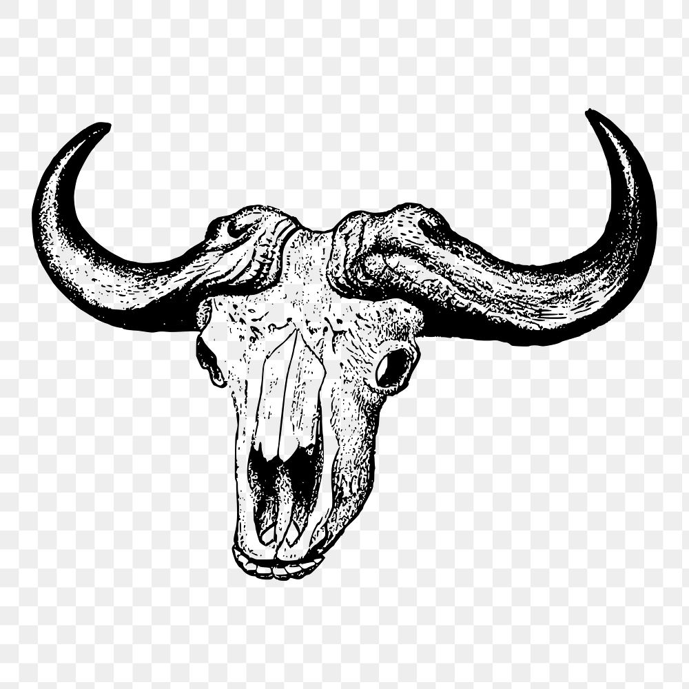 Bull skull png  illustration, transparent background. Free public domain CC0 image.