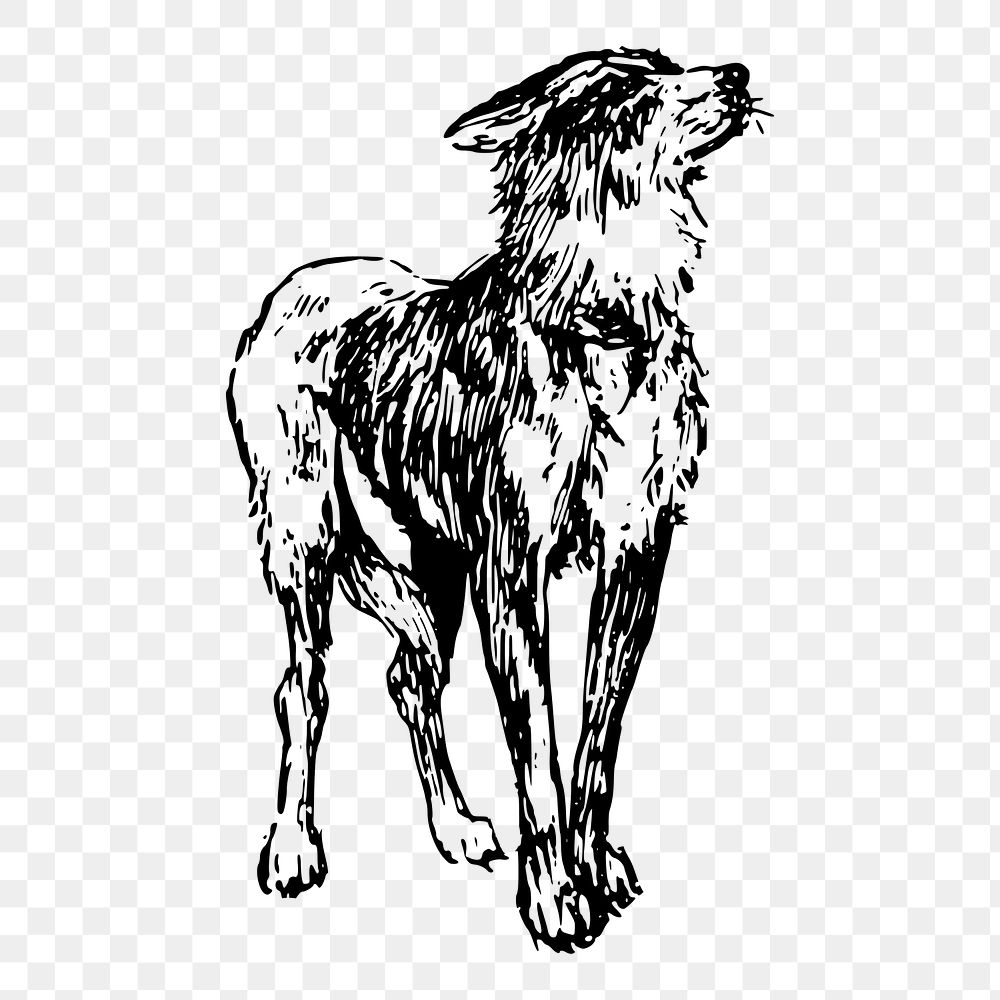 Old German Shepherd dog png illustration, transparent background. Free public domain CC0 image.