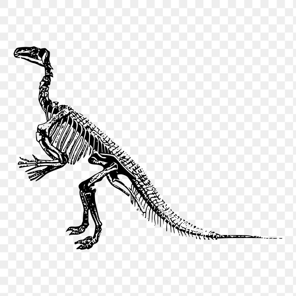 Dinosaur fossil png illustration, transparent background. Free public domain CC0 image.