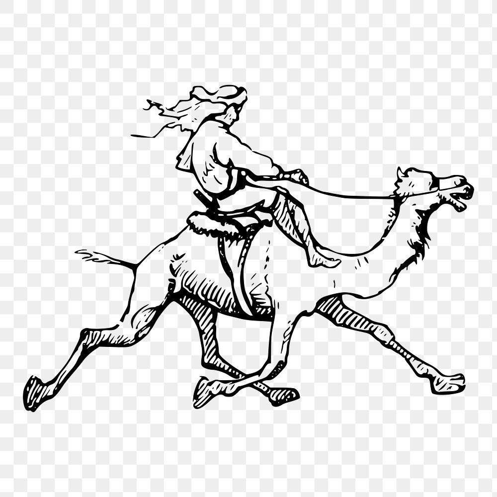 Camel riding png  illustration, transparent background. Free public domain CC0 image.