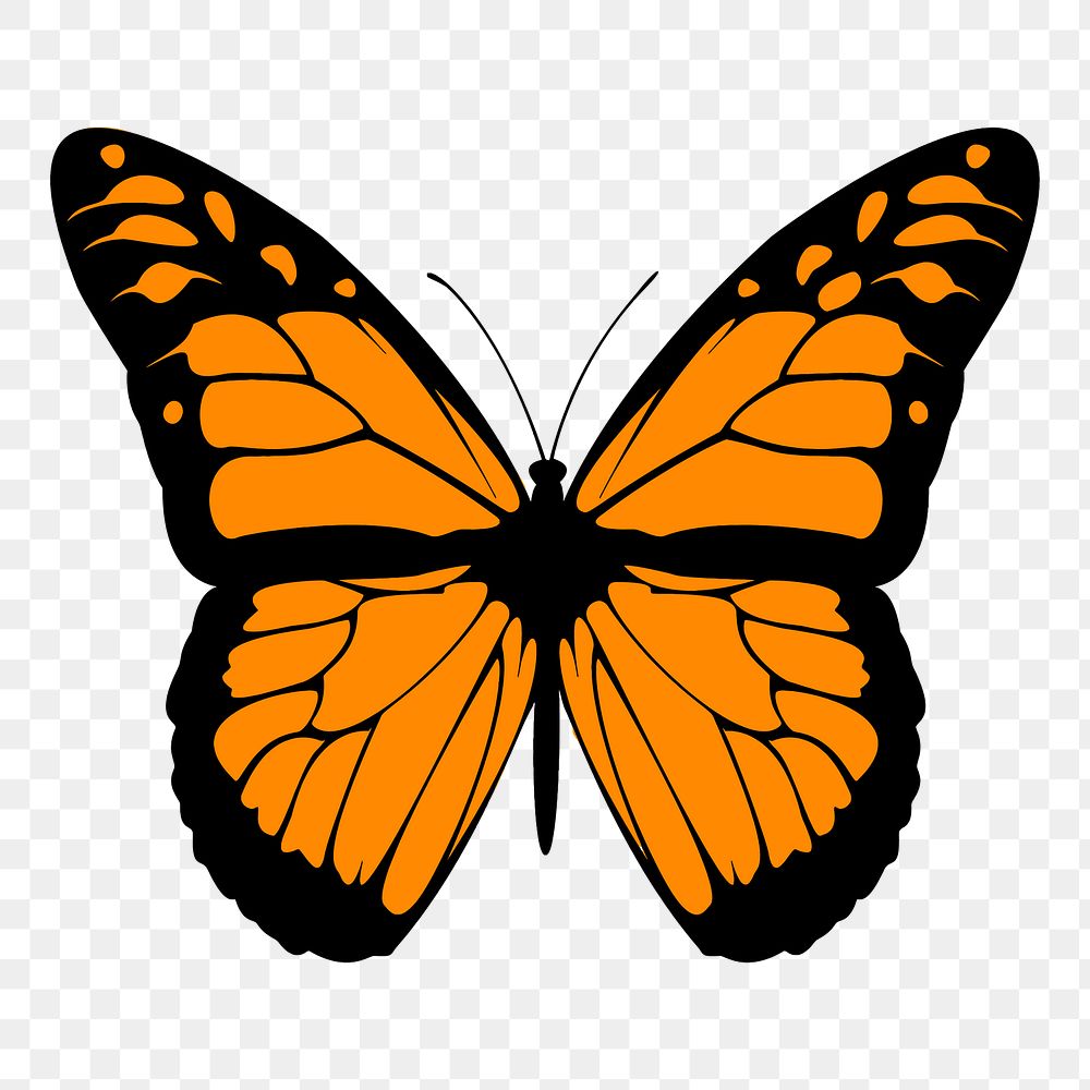 Butterfly png illustration, transparent background. Free public domain CC0 image.