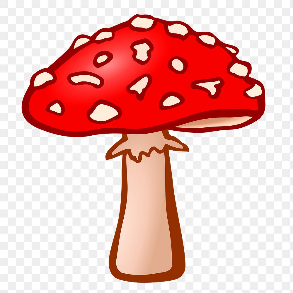 Fly agaric png illustration, transparent background. Free public domain CC0 image.