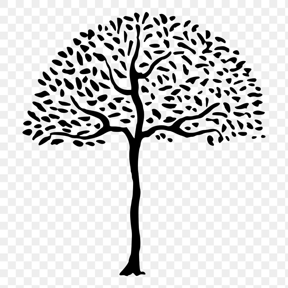 Tree png illustration, transparent background. Free public domain CC0 image.