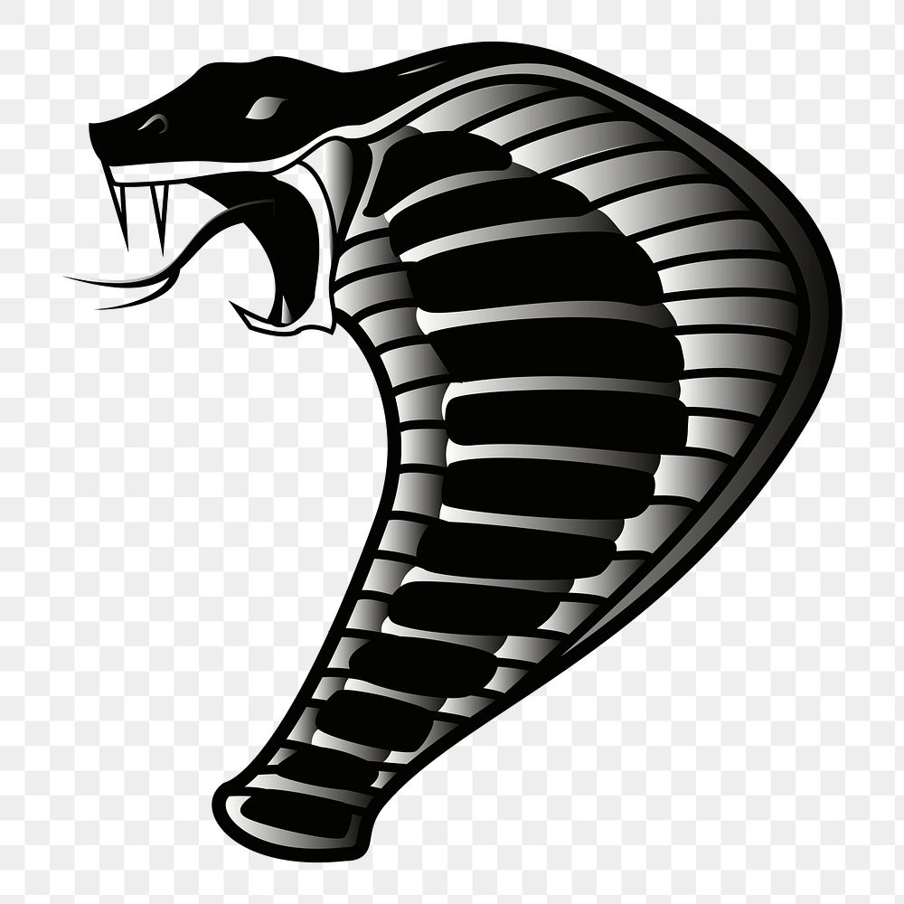 Cobra png illustration, transparent background. Free public domain CC0 image.