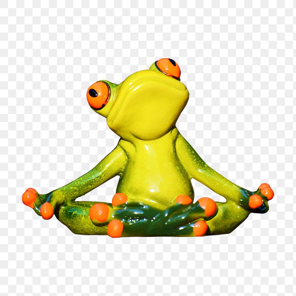Png sitting frog in yoga pose, transparent background