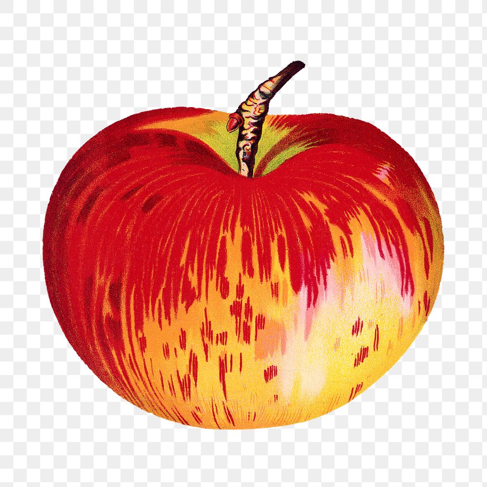 Wealthy apple illustration png sticker, transparent background