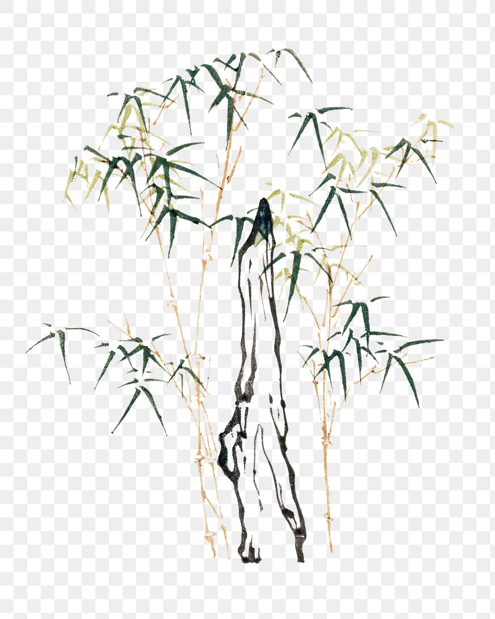 Japanese bamboo png on transparent background.   Remastered by rawpixel. 
