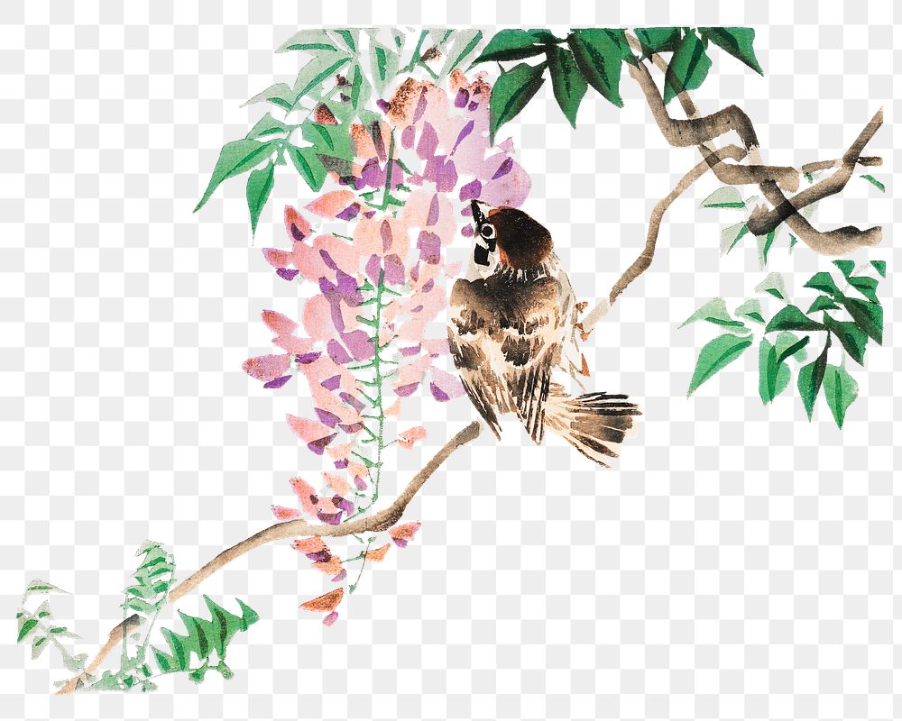 Japanese bird and flower png on transparent background.    Remastered by rawpixel. 