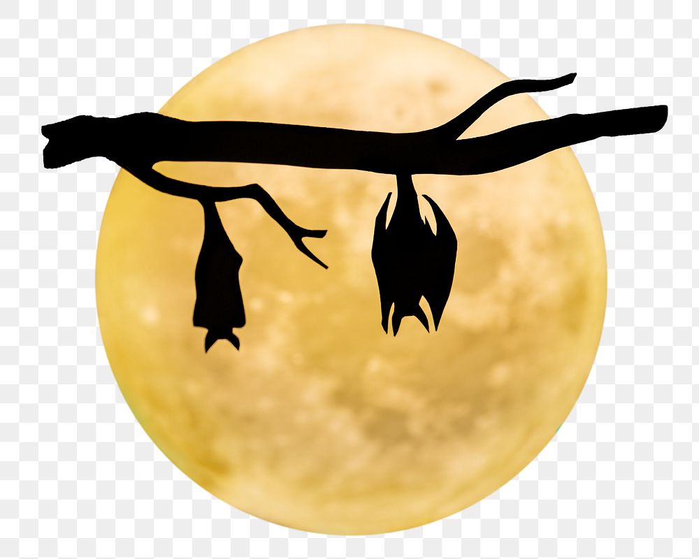 Moon & bats png sticker, Halloween design, transparent background