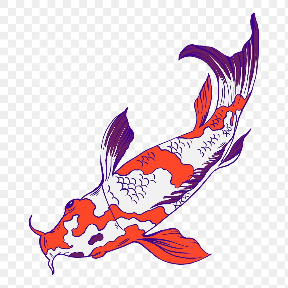 Koi fish png sticker, vintage Japanese animal illustration, transparent background
