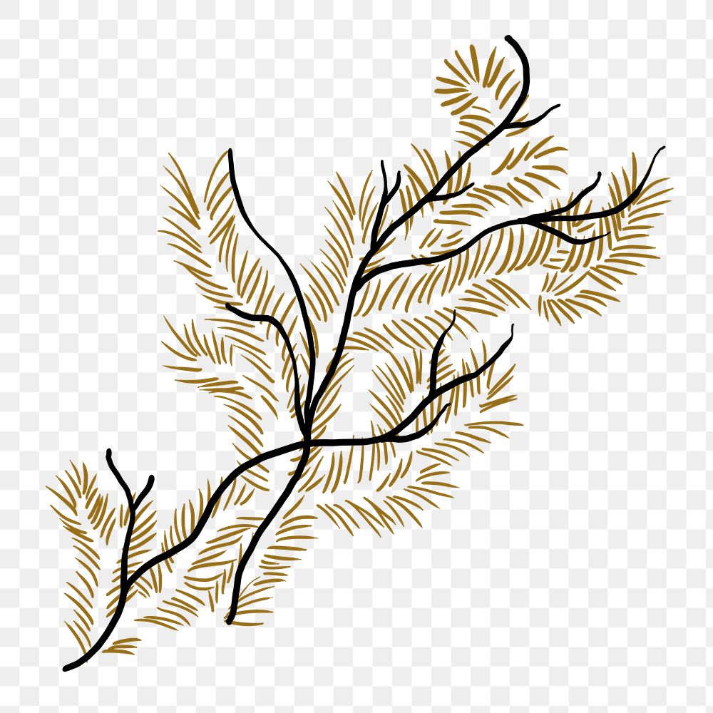 Leaf branch png sticker, botanical illustration, transparent background