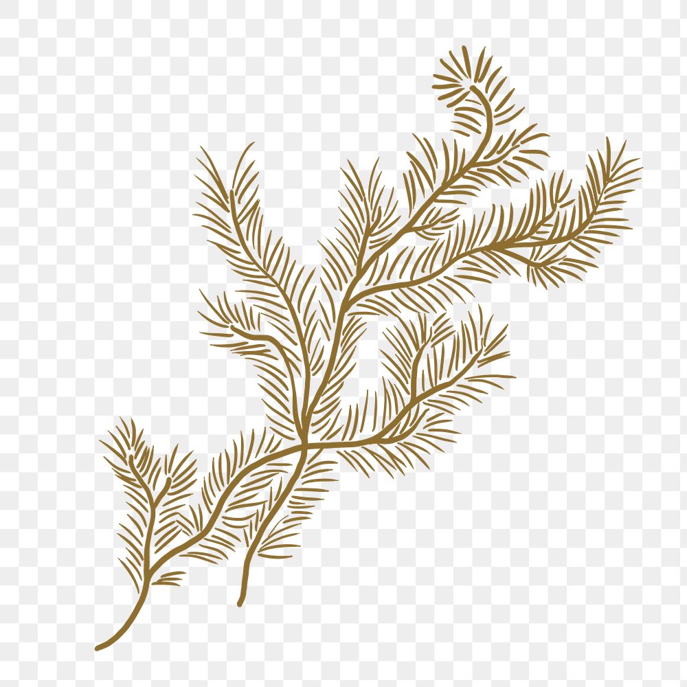 Leaf branch png sticker, botanical illustration, transparent background