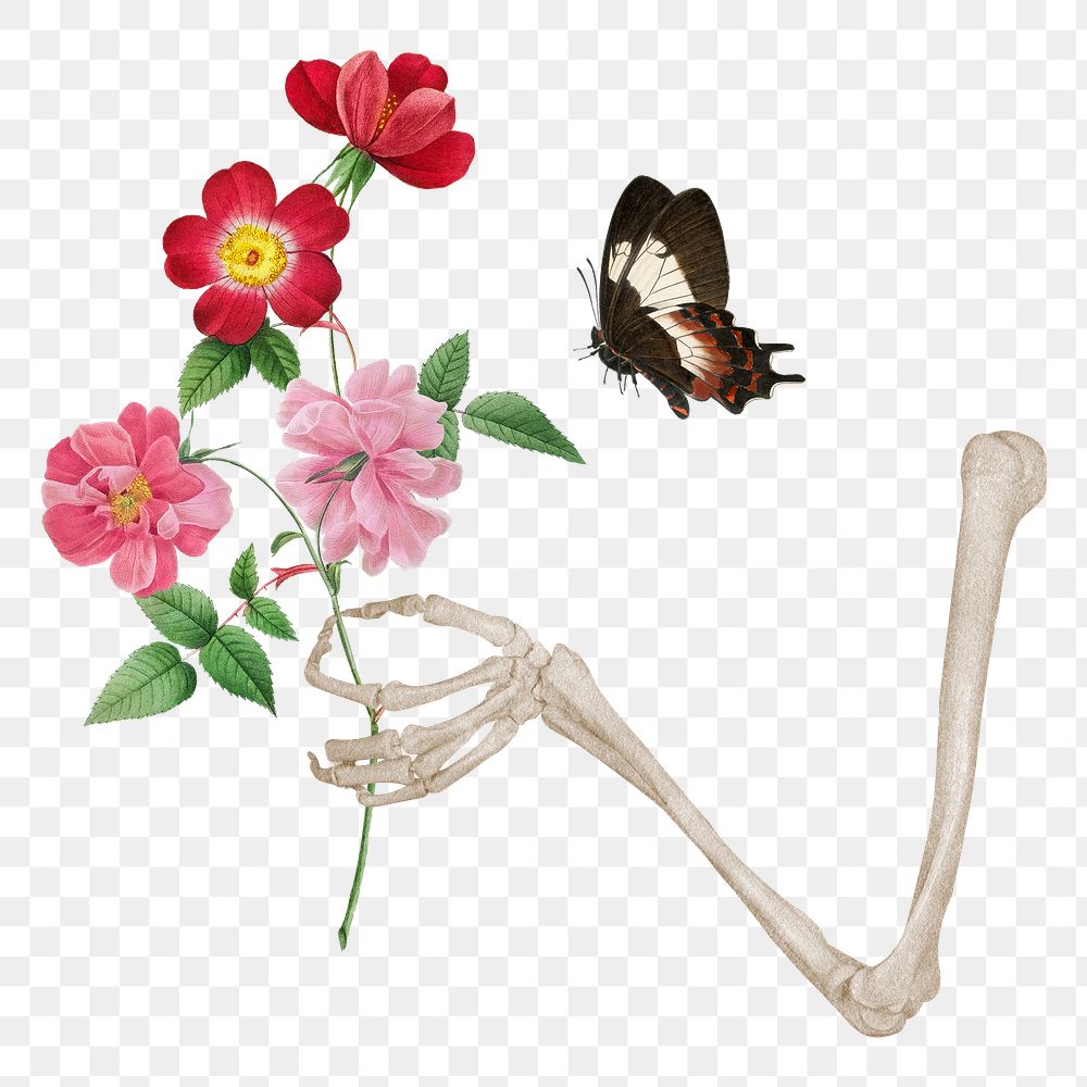 Skeleton arm png sticker, holding flowers, transparent background