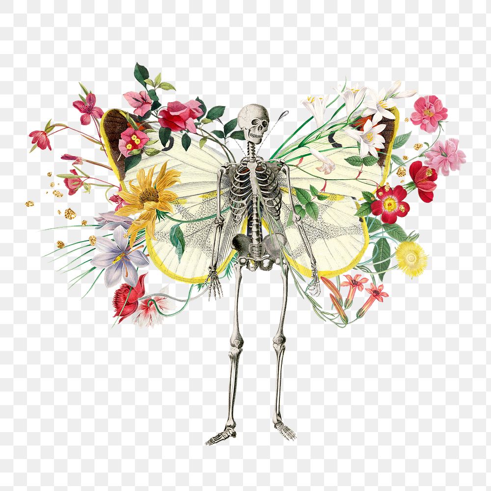 Png skeleton botanical remix sticker, transparent background