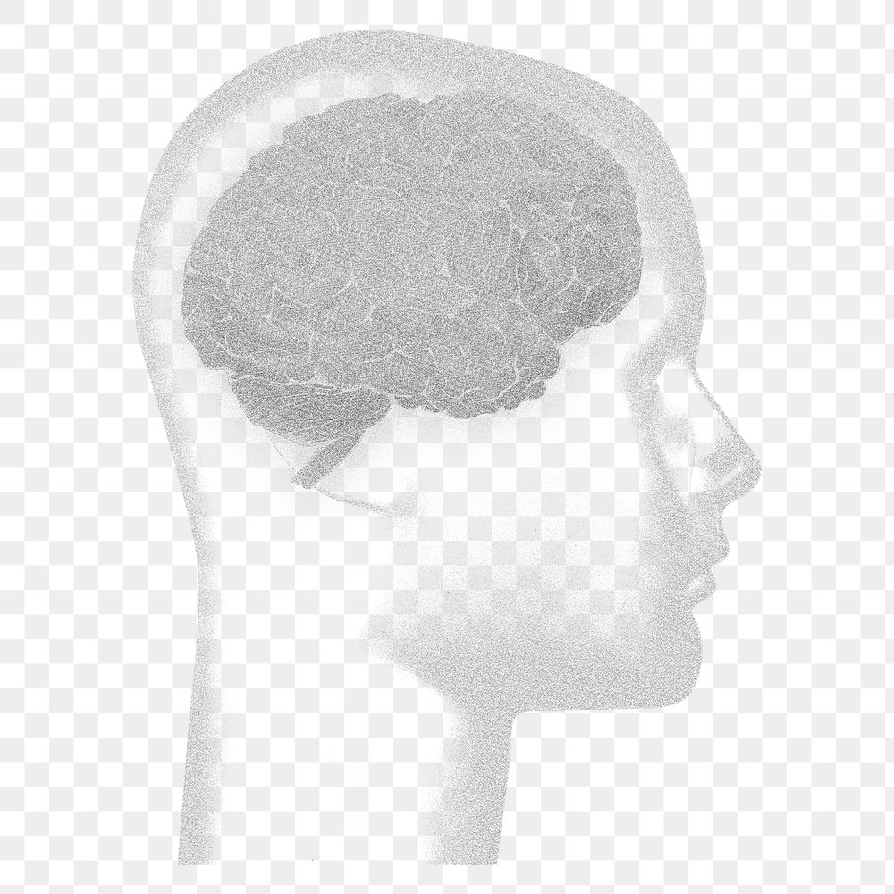 Human brain png sticker, transparent background