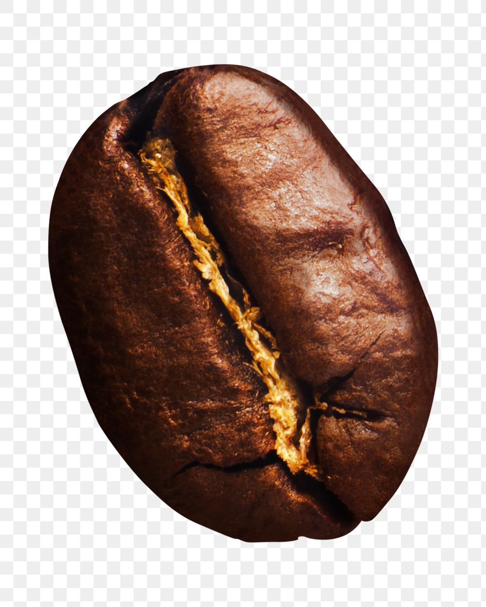 Coffee bean png sticker, transparent background