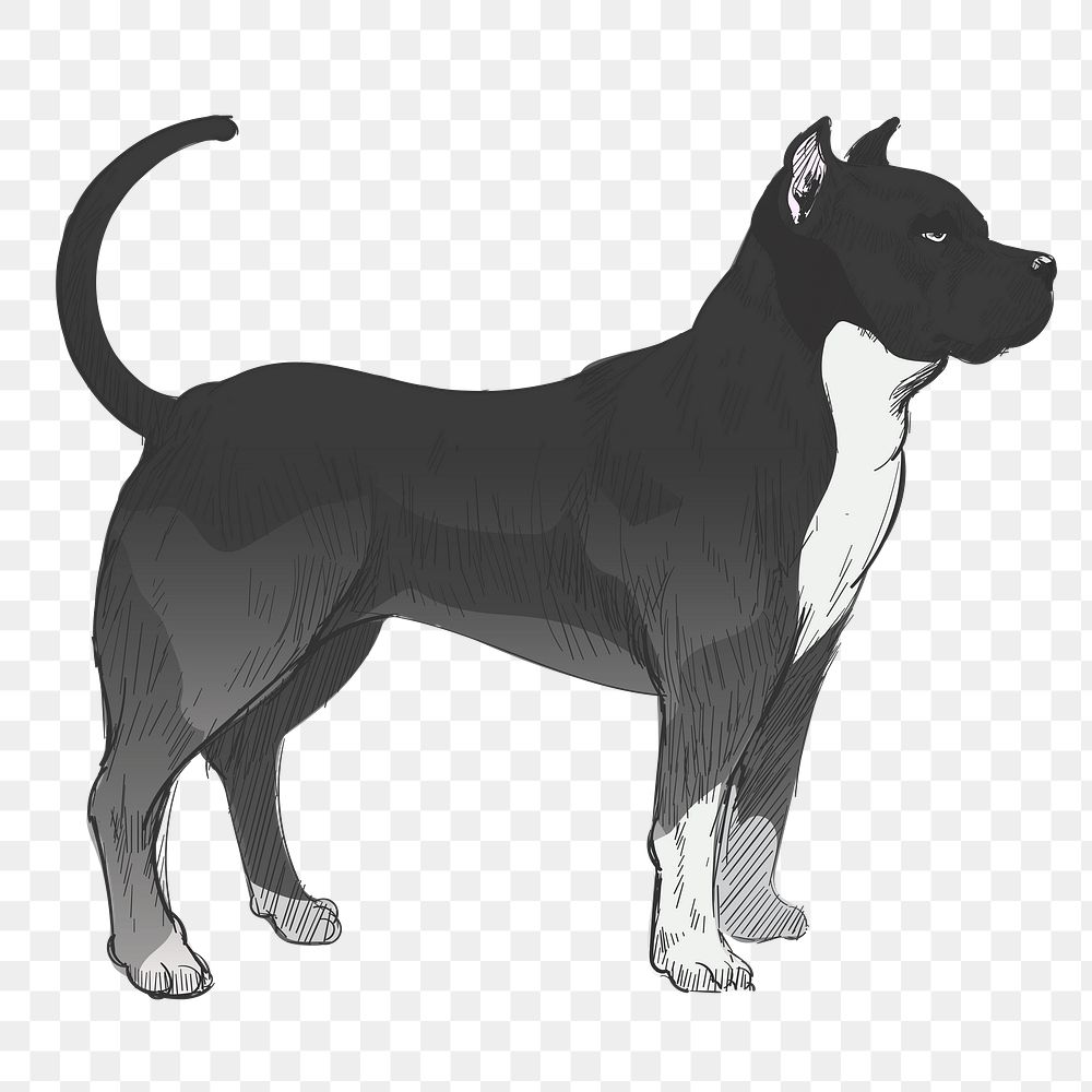 Png Pitbull dog  animal illustration, transparent background