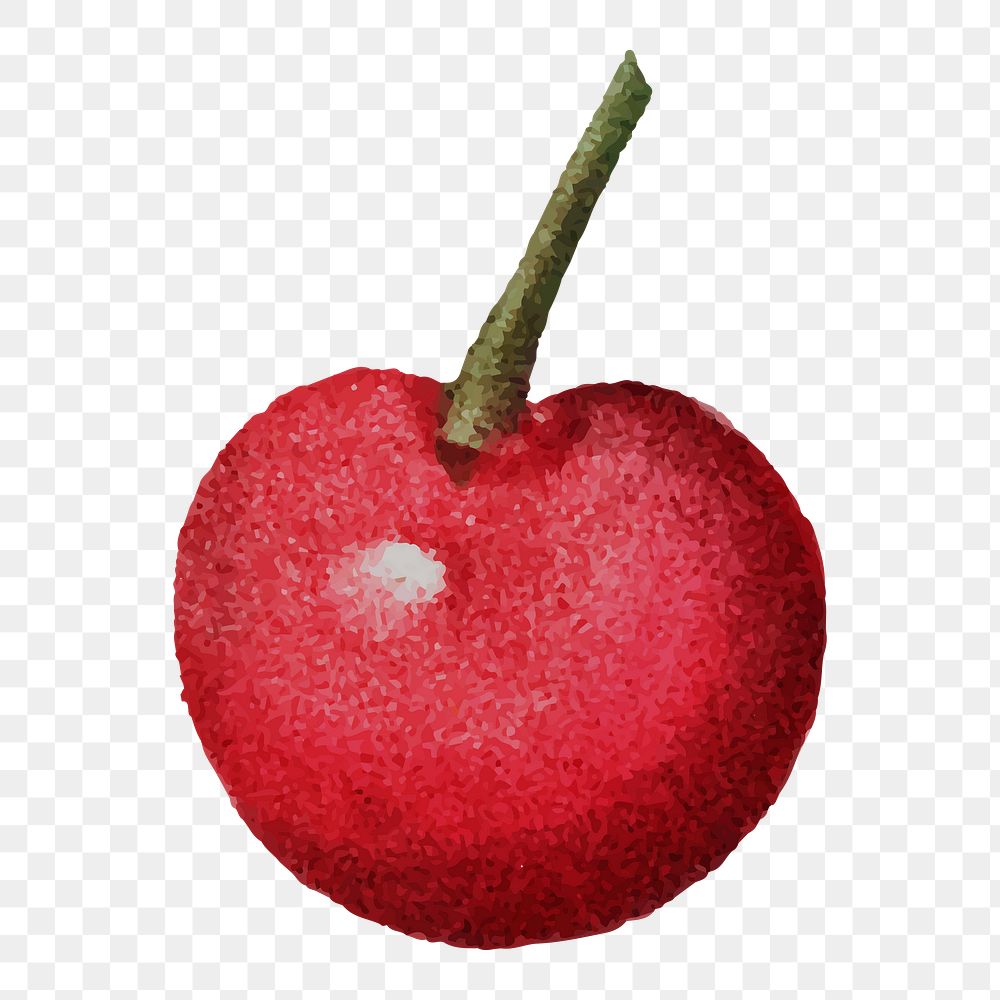 Cherry illustration png sticker, transparent background