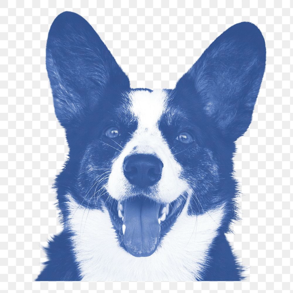 Welsh corgi png sticker, transparent background