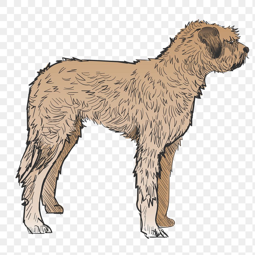 Png Irish Mastiff dog  animal illustration, transparent background