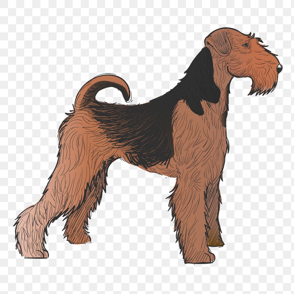 Png Airedale Terrier dog  animal illustration, transparent background