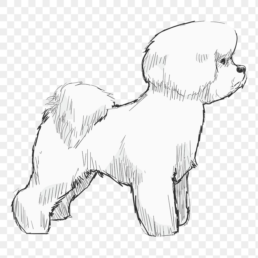 Png Bichon Frise dog  animal illustration, transparent background