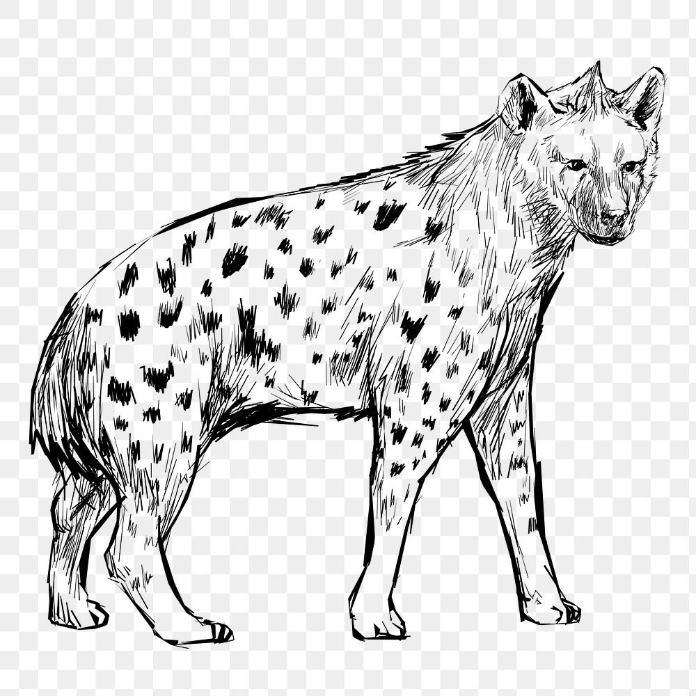 Png hyena walking  animal illustration, transparent background