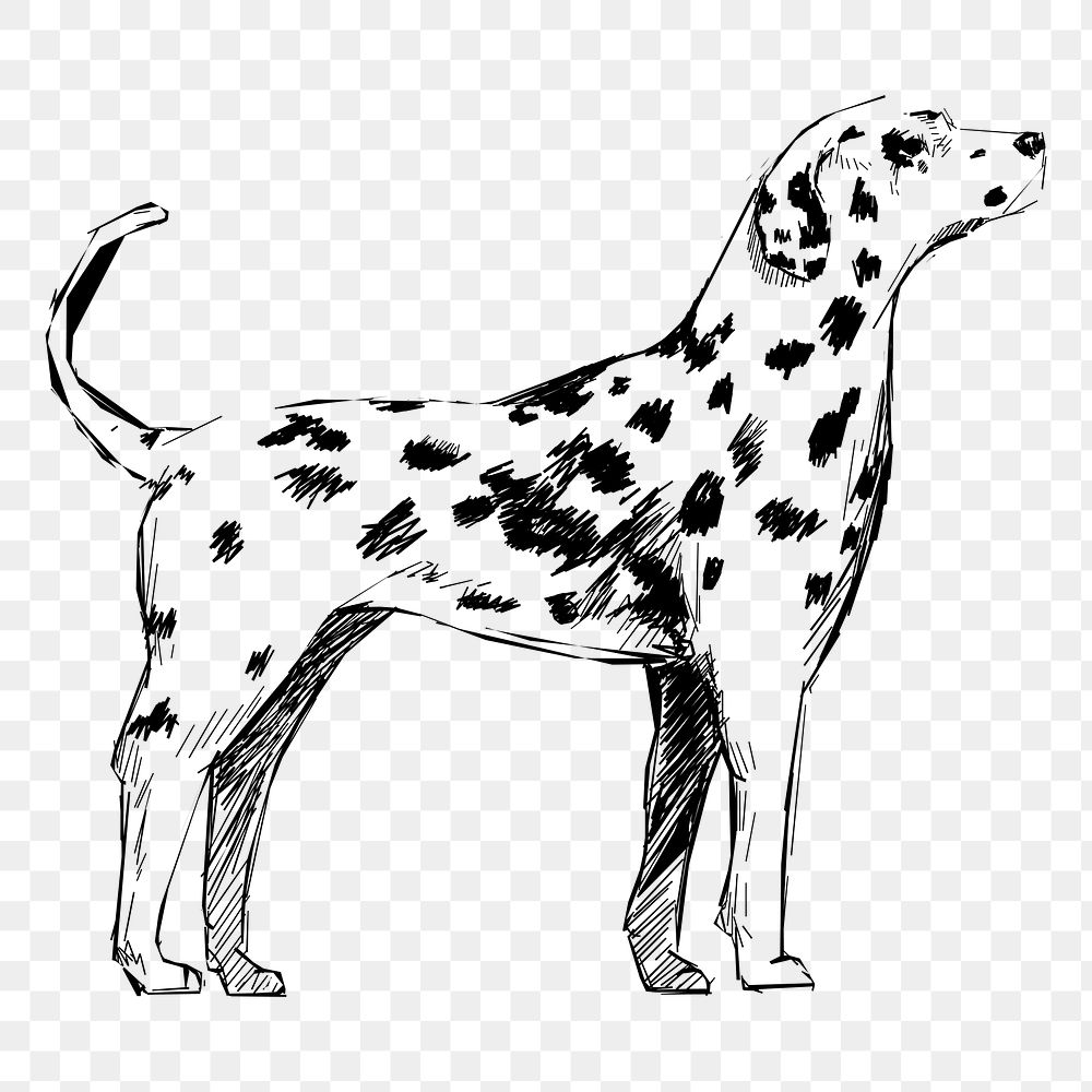 Png Dalmatian dog  animal illustration, transparent background