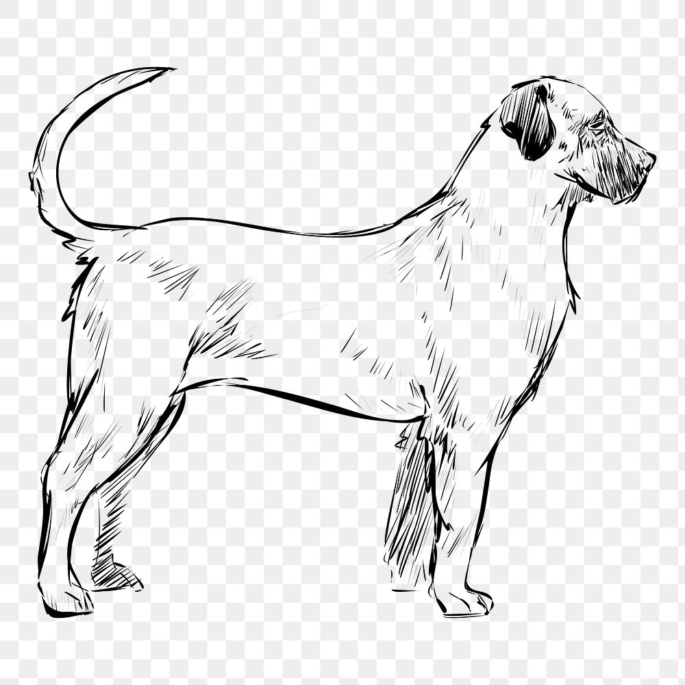 Png American Mastiff dog  animal illustration, transparent background