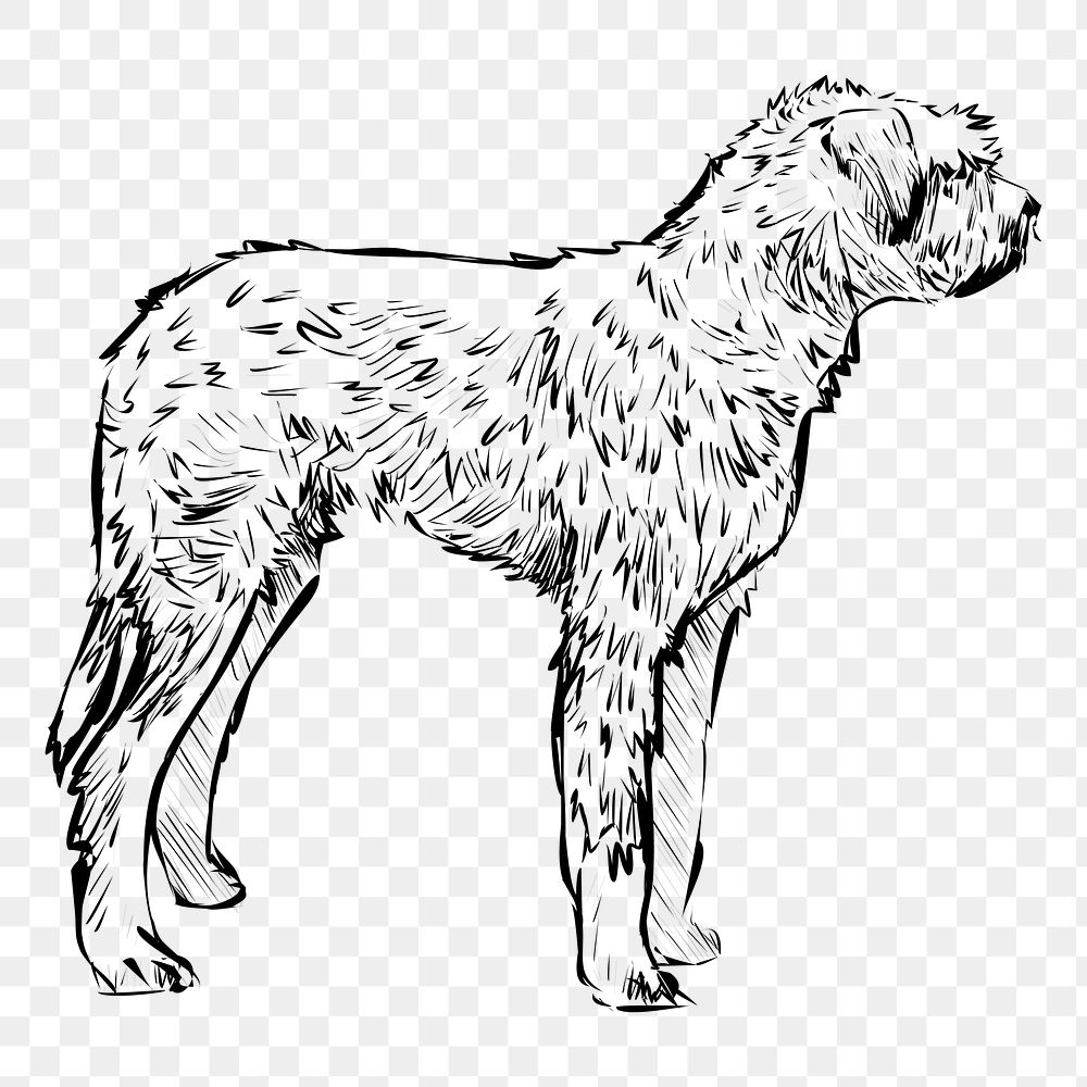 Png Irish Mastiff dog  animal illustration, transparent background