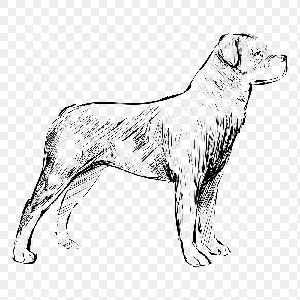 Png Rottweiler dog  animal illustration, transparent background