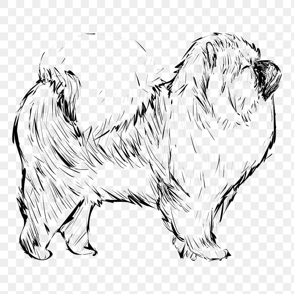 Png Chow Chow dog  animal illustration, transparent background