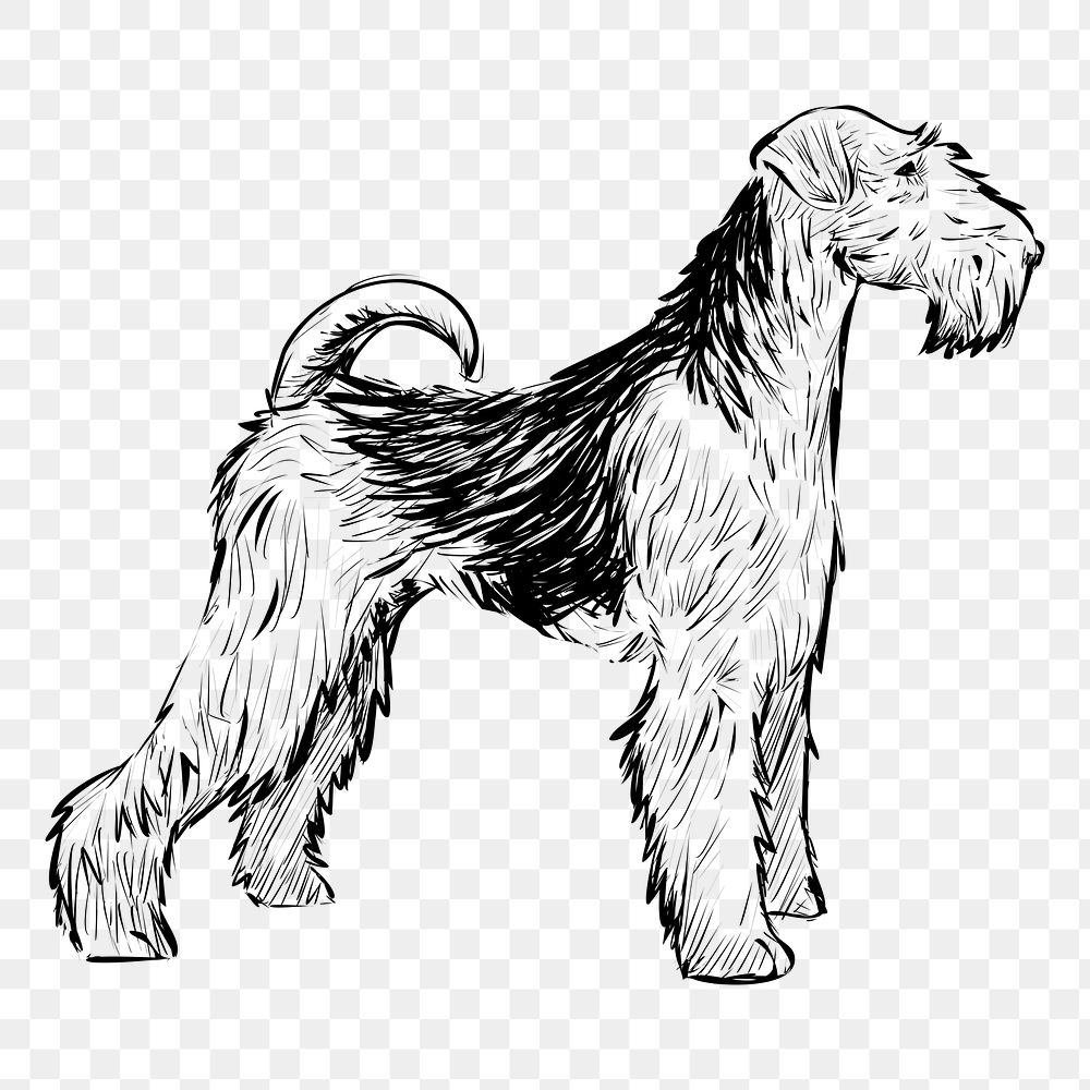 Png Airedale Terrier  animal illustration, transparent background