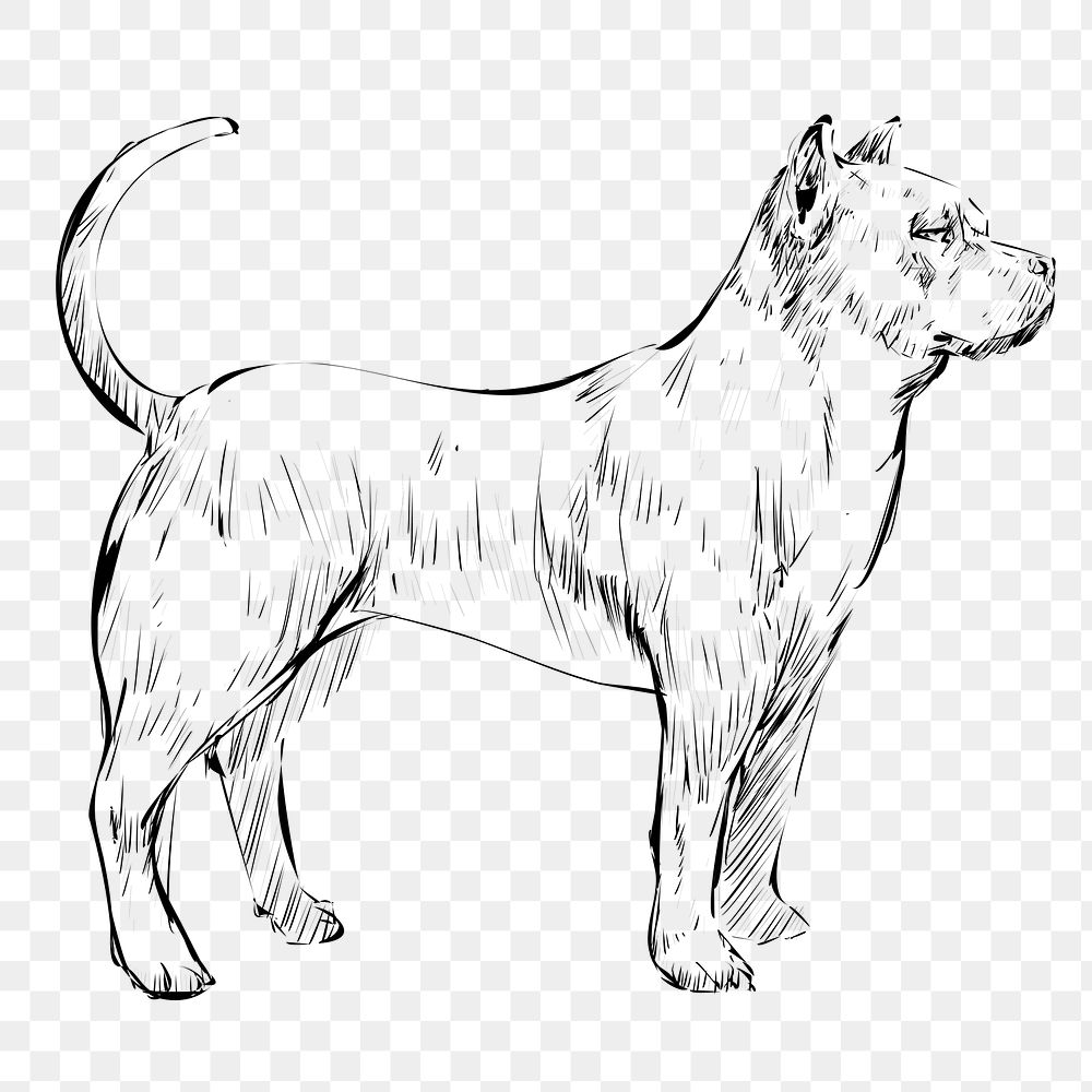 Png Pitbull dog  animal illustration, transparent background