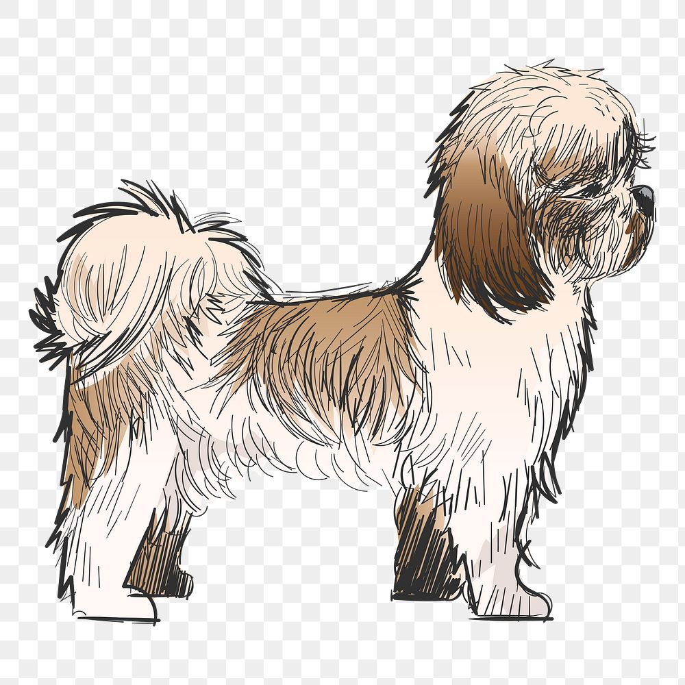 Png Shih Tzu dog  animal illustration, transparent background
