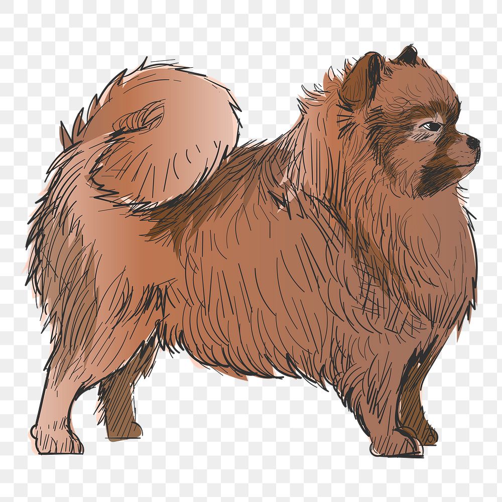 Png Pomeranian dog  animal illustration, transparent background