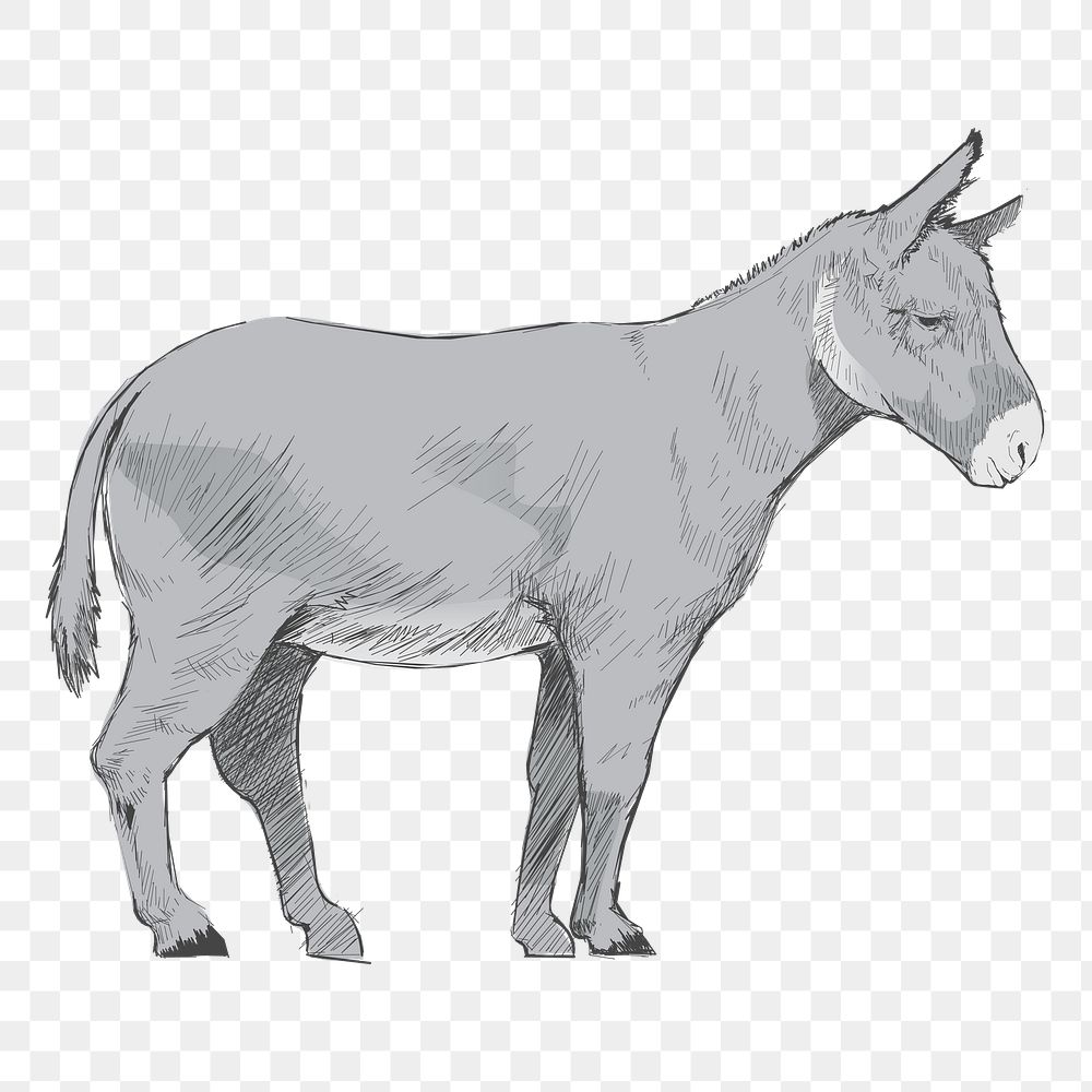 Png donkey  animal illustration, transparent background